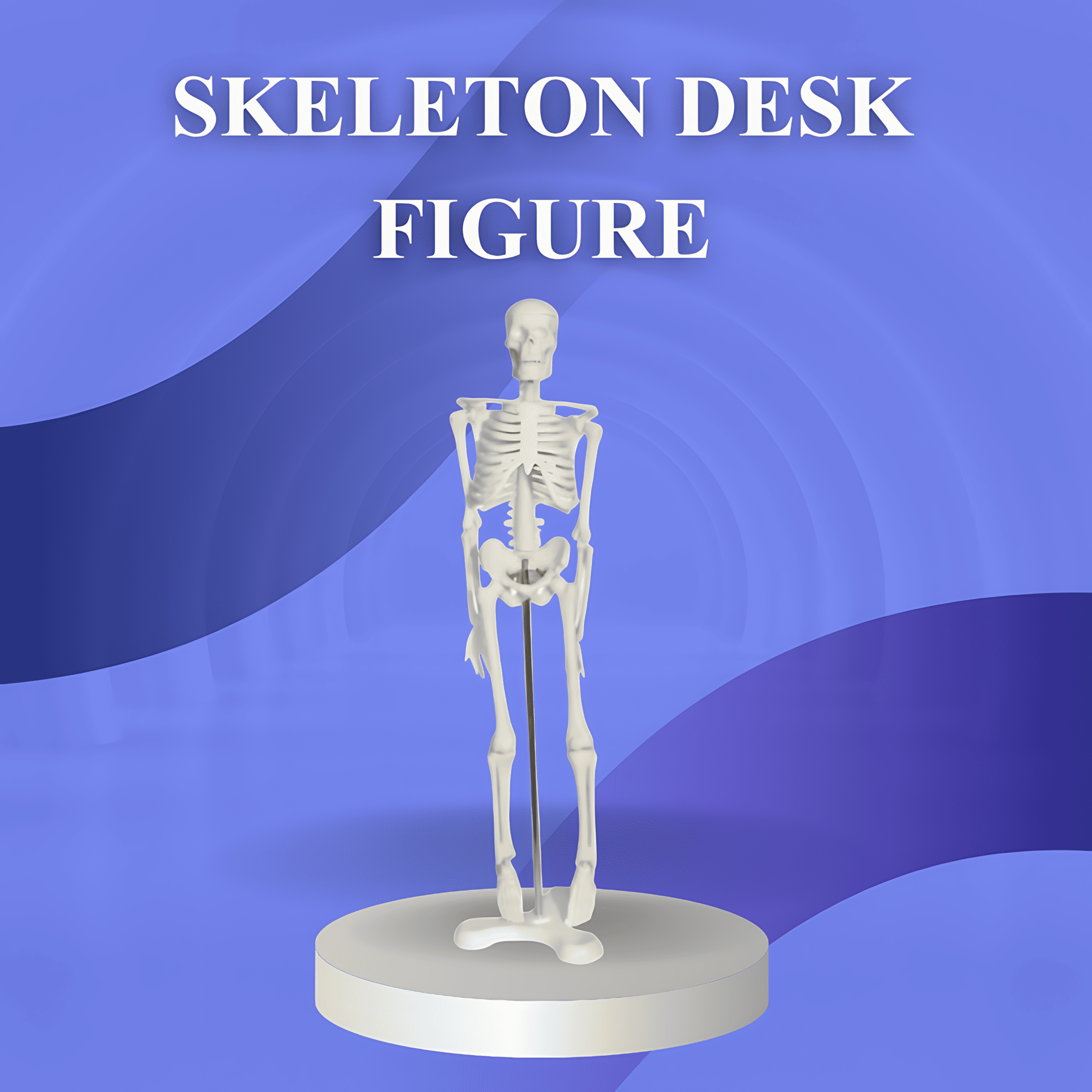 Mini Skeleton Figure